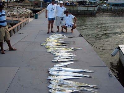Photos of Buscapie Fishing tour