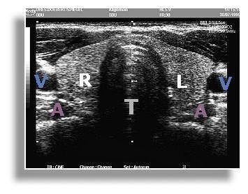 Practice of Nuclear Medicine - Thumbnail