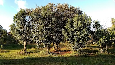 Photos of Reserva Privada Bonetti
