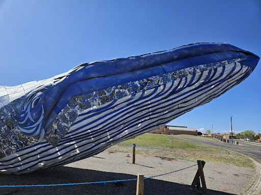Ethyl the Whale - Thumbnail