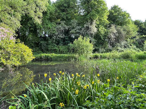 Caird Park - Thumbnail