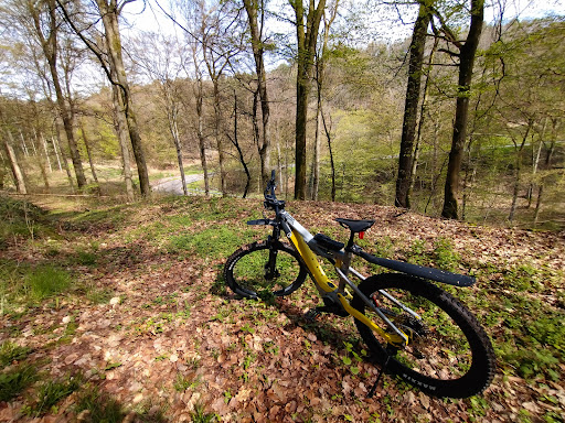Mummert Bike Fahrrad.E-Bike.Service - Thumbnail