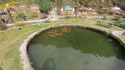 Photos of Rainbow Trout Fish Farm