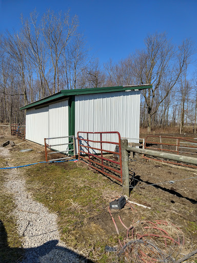 Campbell Shed Moving - Thumbnail