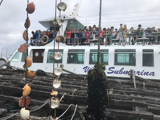 Cruceros de Arosa Gallery - Spain