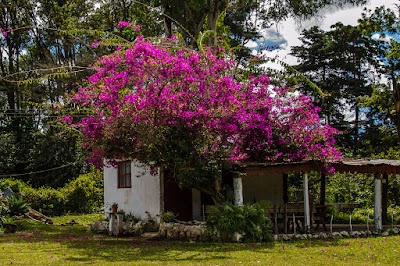 Photos of La Posada De Mi Abuelo