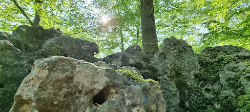 la pierre qui corne forêt d'halatte - Thumbnail