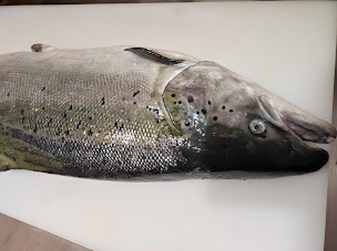 Photo n°15 de Mozart Sushi à Paris (Restaurant de yakitori)