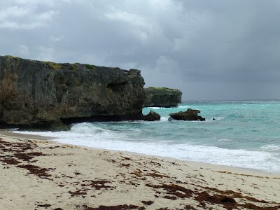 Photos of Bottom Bay