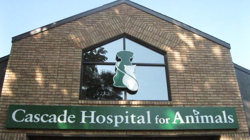 Cascade Hospital for Animals by null