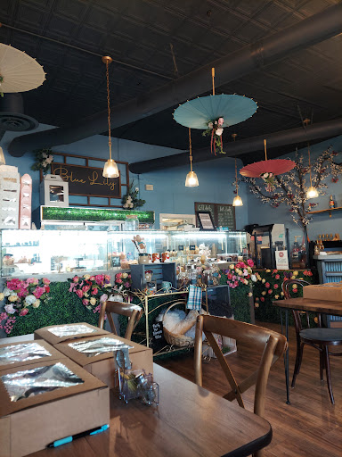 Blue Lily Cafe and Florist - Thumbnail