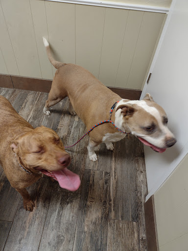 Westside Animal Clinic - Thumbnail