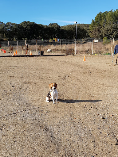 Club Caní Vent Roig - Thumbnail