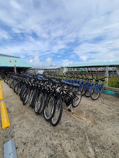 Edisto Bike & Golf Cart Rentals Logo