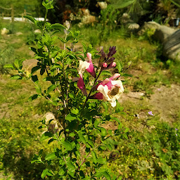 Photo n°11 de Evolu'vert à Arles-sur-Tech (Consultant en environnement)