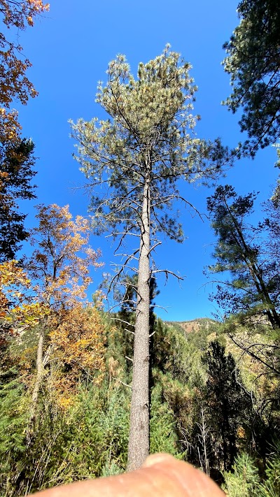 Lincoln National Forest, Sacramento District Office