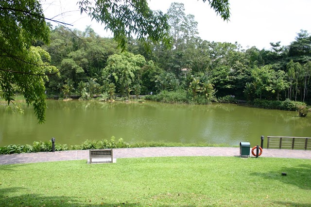 Jardin botanique de Singapour