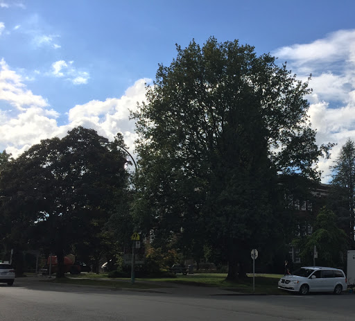 Lord Byng Secondary School - Thumbnail