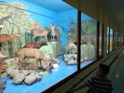 museum