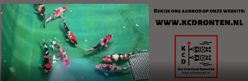 Koi Centrum Dronten