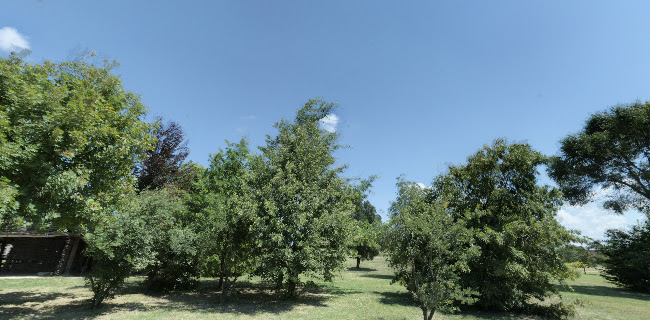 Nyitvatartás: Régészeti Park