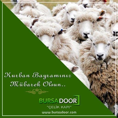Photos of BURSADOOR &Ccedil;ELİK KAPI