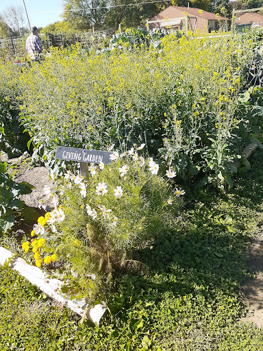 Eldora Community Garden - Thumbnail