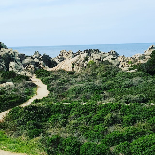 Faro di Capo Testa