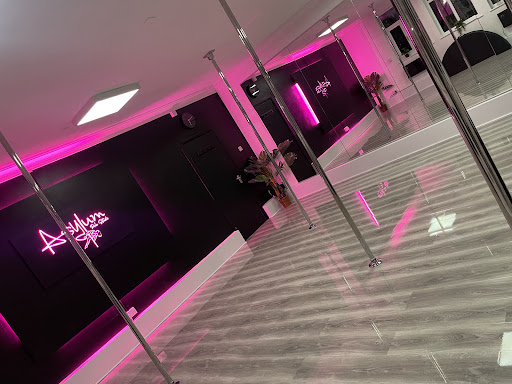 Asylum Pole Studio - Visual