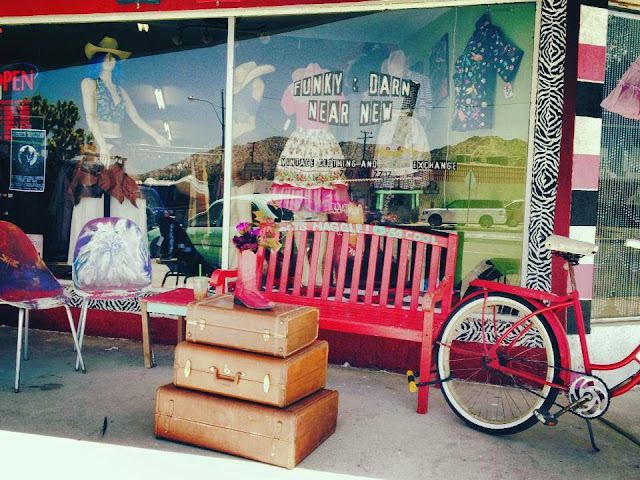 Funky Desert Vintage by null