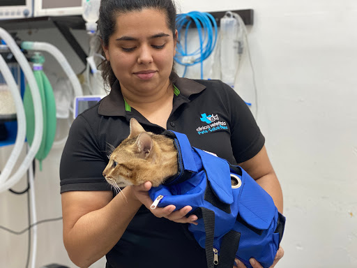 Clínica Veterinaria Pets Salud y Belleza