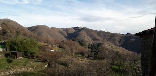 Torpiana - Thumbnail