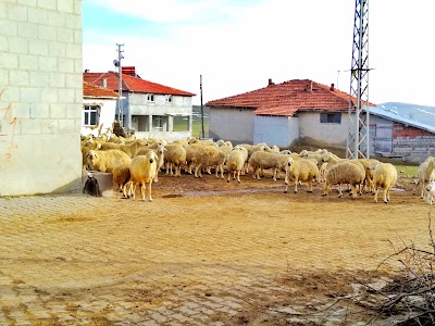 Çakırhacılı Camii