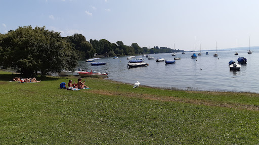 Konzertsegel - Thumbnail