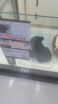 ディスワン稲沢平和店