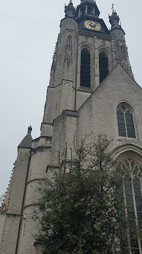 Sint-Maartenskerk van Kortrijk openingstijden