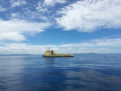 Photos of South Sea Cruises