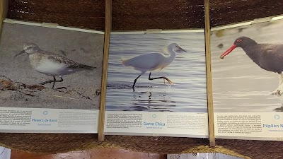 Photos of Galeria Sur Vivo