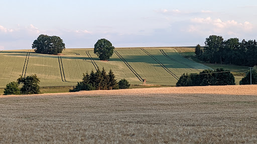 Lotschen (b. Stadtroda), Ort - Visual