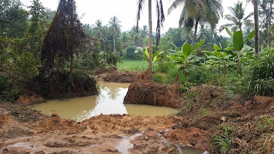 Photos of Nawagamuwa Paththini Devalaya