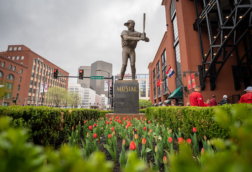 St. Louis Cardinals - Thumbnail