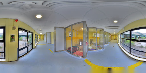 site_photo3