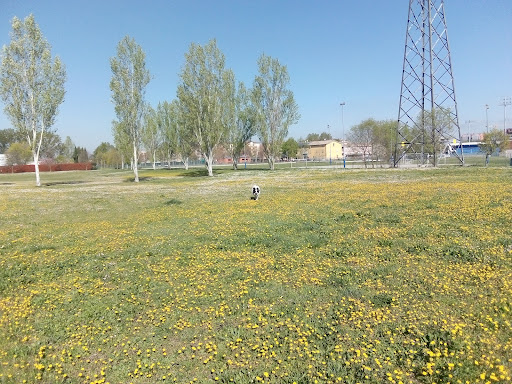Parco Dronato - Visual