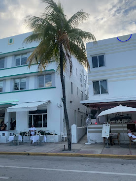 Avalon Hotel Miami by null