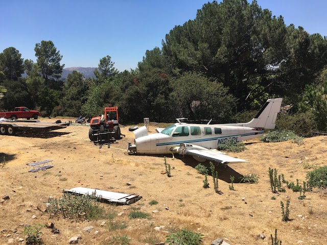 Forêt nationale d'Angeles