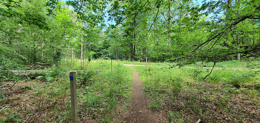 Braås Park - Visual