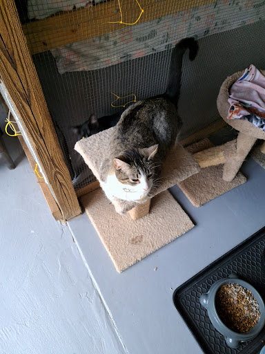 SOS Animal Shelter - Thumbnail