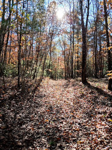Negutaquet Conservation Area