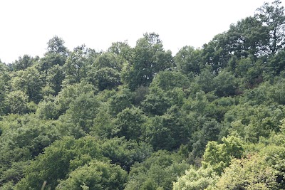 Photos of Valley Poligoni-Shkalleza