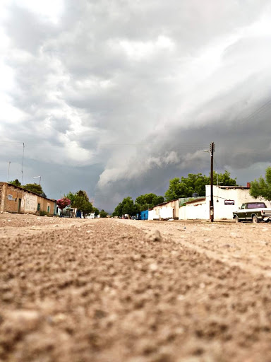 Sauces de Canutillo Ocampo Durango - Thumbnail